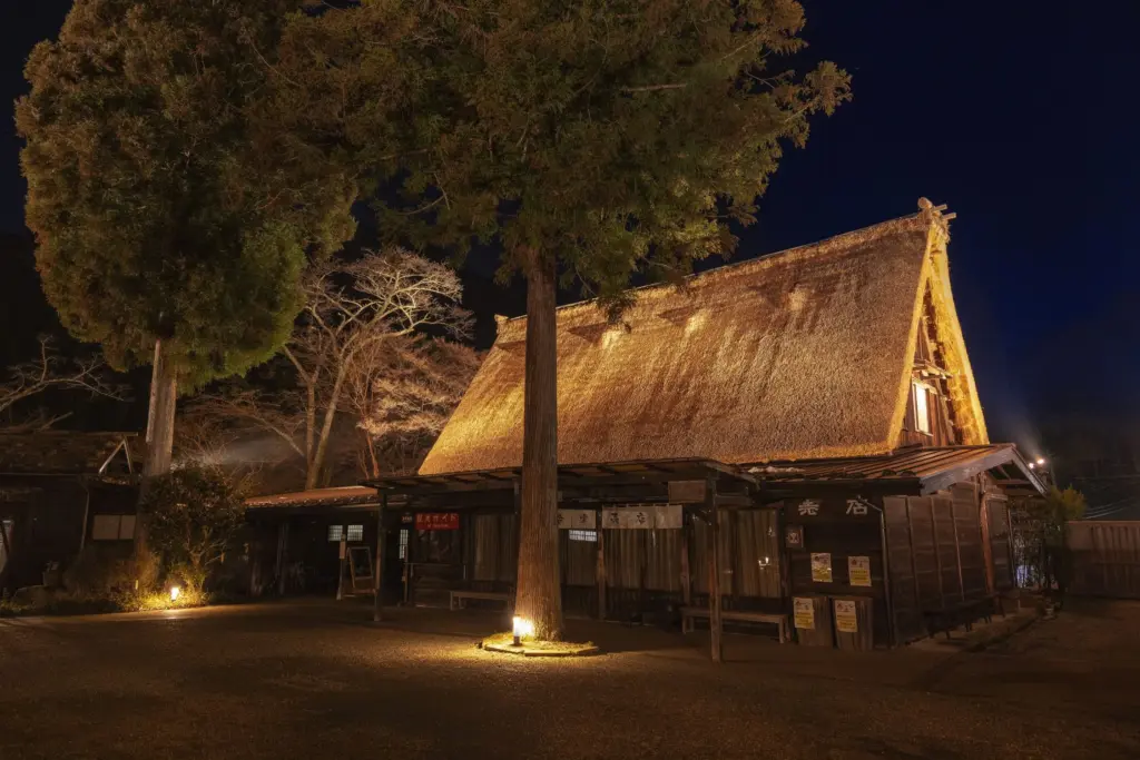 茅葺屋根の質感を活かすライトアップ