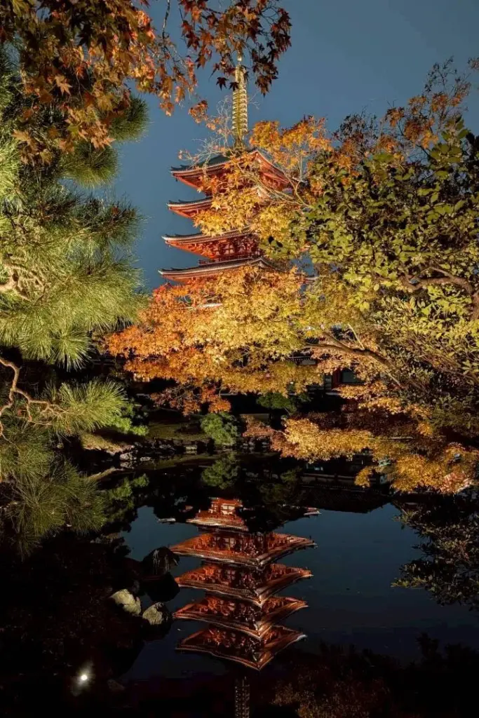 画角を意識した浅草寺 伝法院庭園のライトアップをスマートフォンで撮影した様子