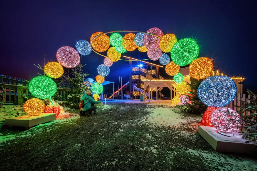 オーガニックボールの導入現場③