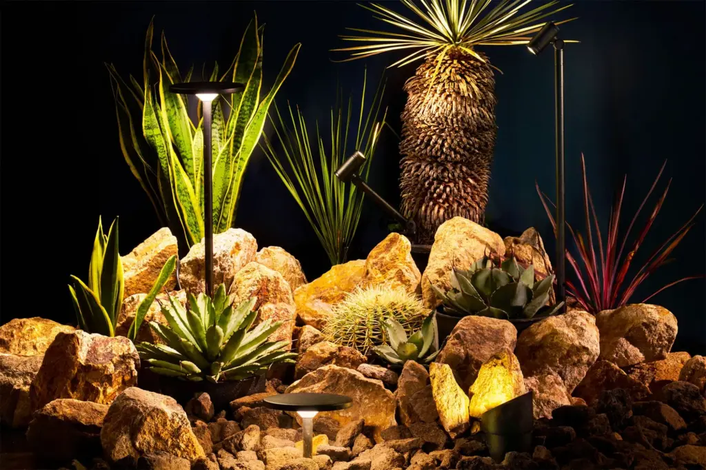 BLACK SERIESのイメージ