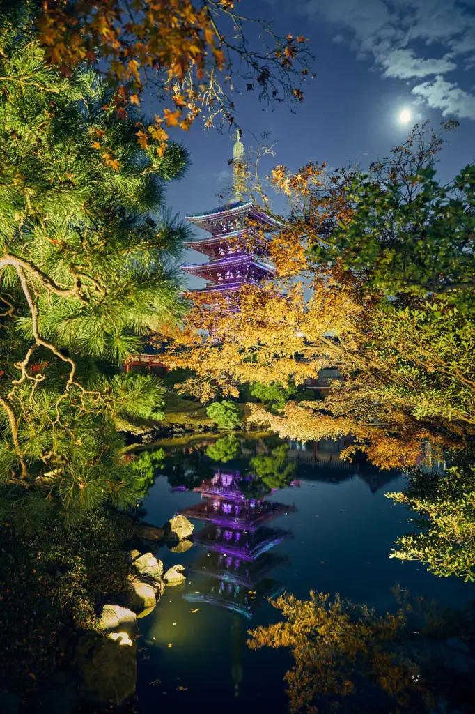 画角を意識した浅草寺 伝法院庭園のライトアップ