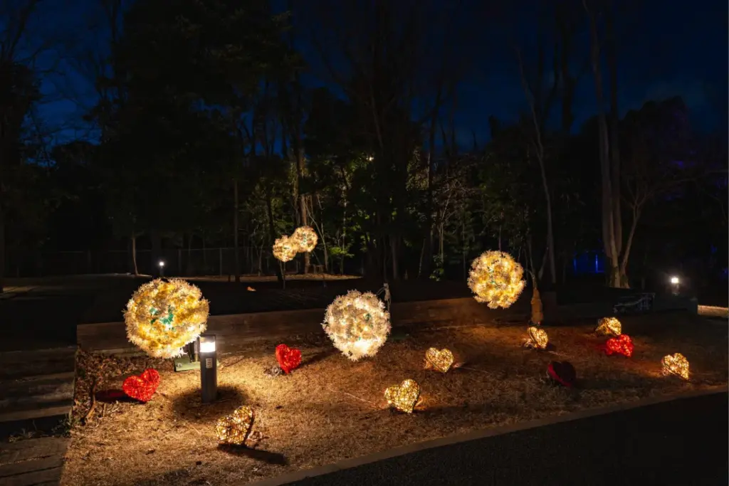あさか冬のあかりテラスの様子⑥