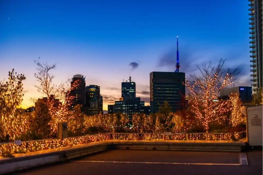 PayPayドーム WINTER LIGHT FANTASY ILLUMINATION
supported by 地球人.jpの様子②