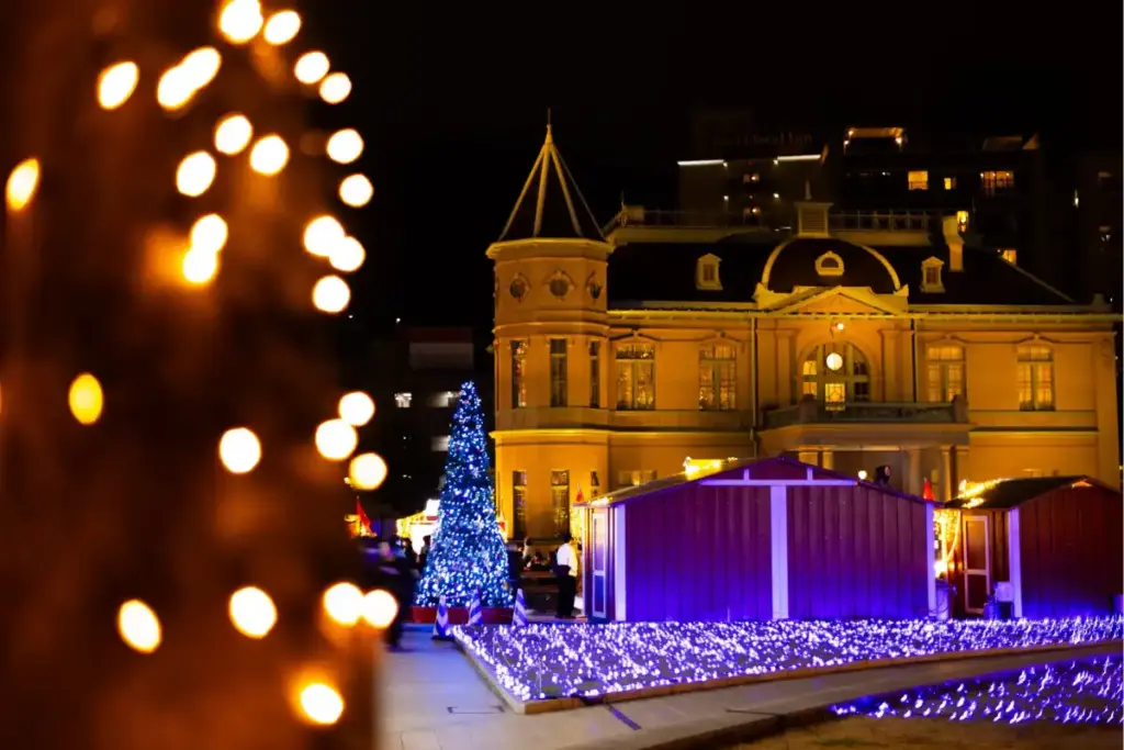 天神中央公園 光のフォレストの様子①