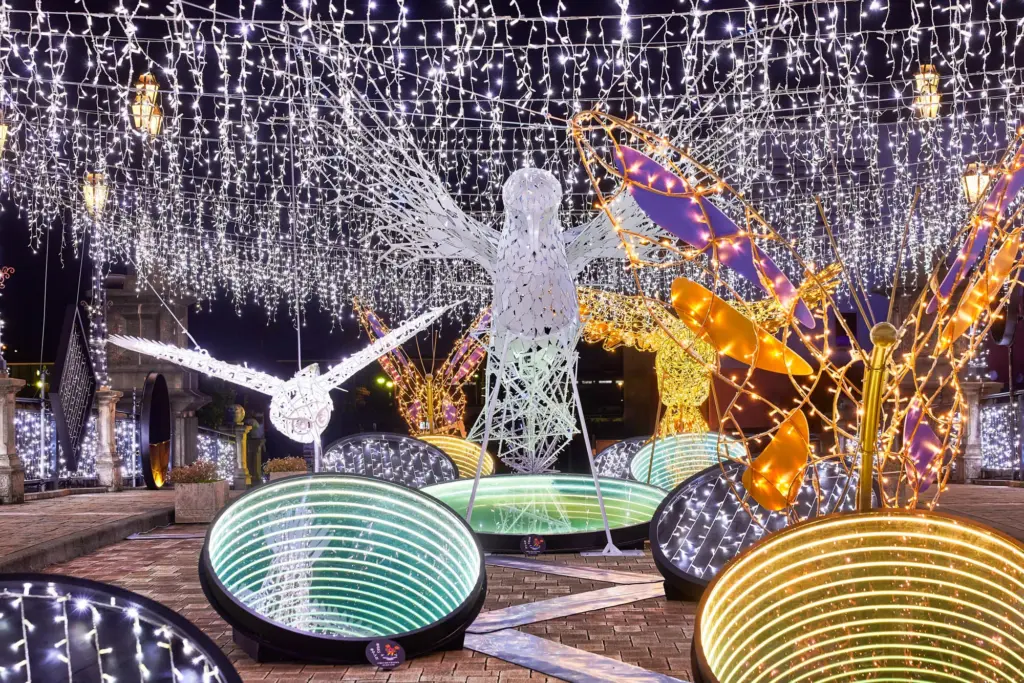 本当のクリスマスに出逢える場所 フェスタ・ルーチェ in 和歌山マリーナシティの様子