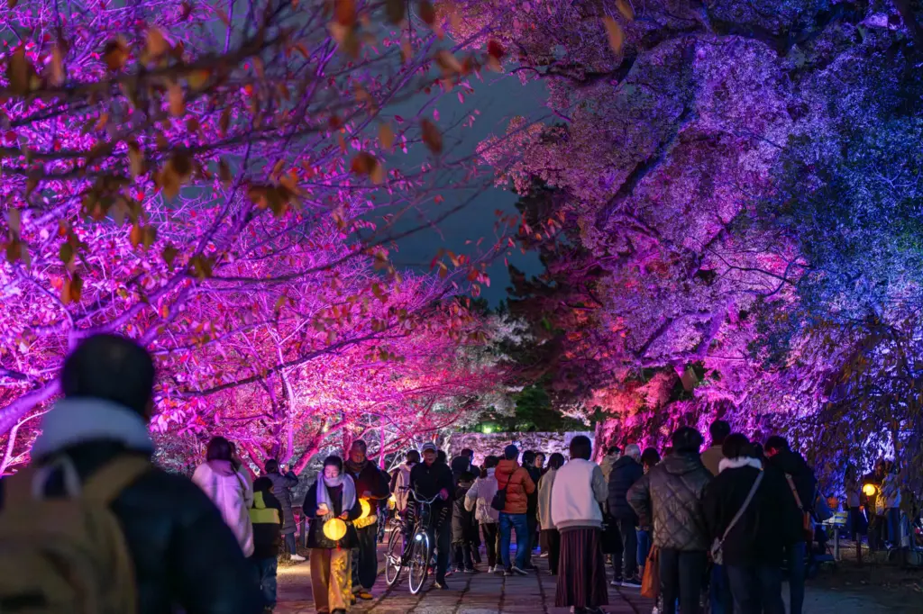 和歌山城 ～光の回廊〜のライトアップ事例①