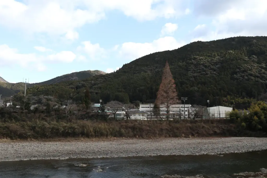 自然豊かな美山中学校周辺の風景