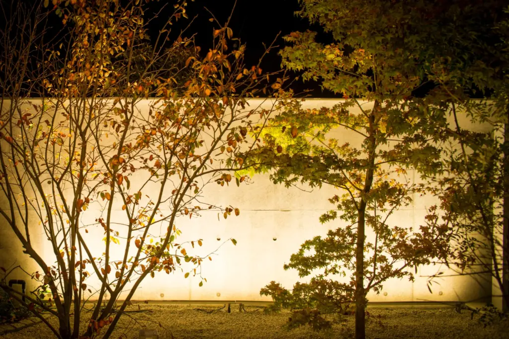 塗り壁の質感を照らした和の空間のイメージ