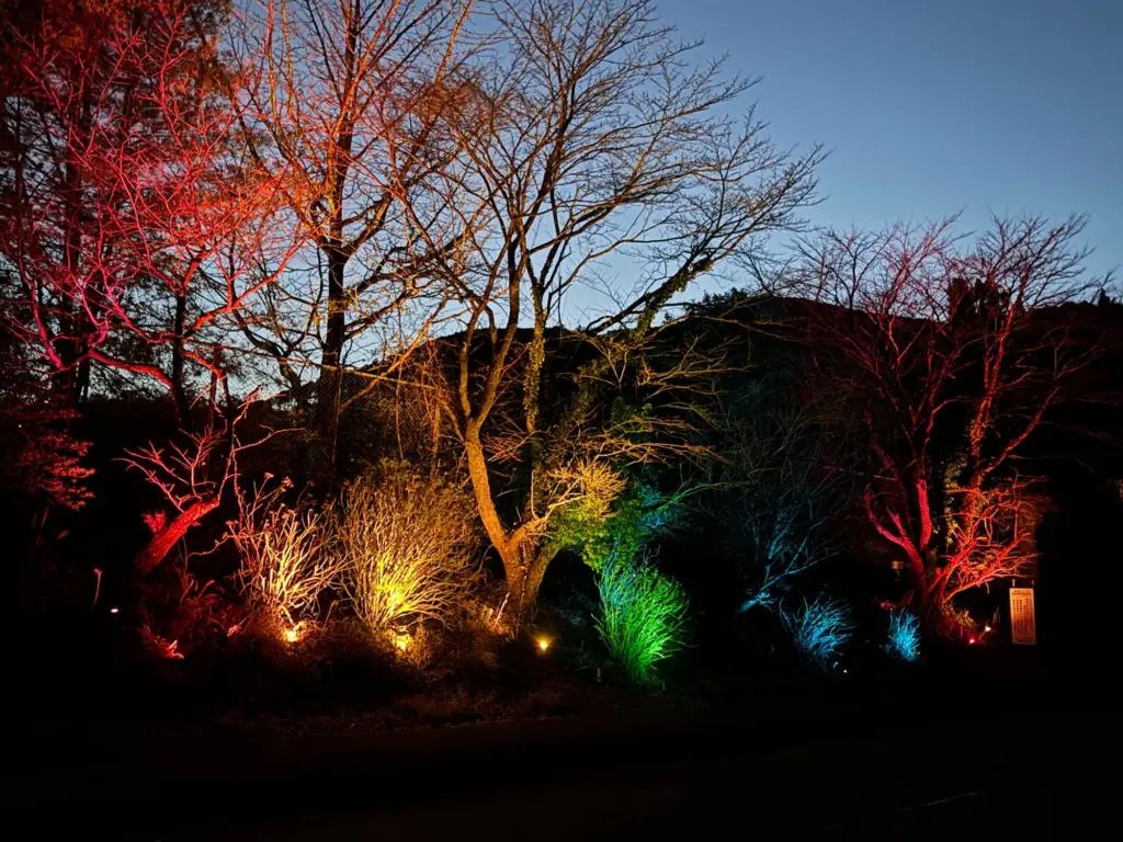 仕上がった各グループのライトアップの様子③