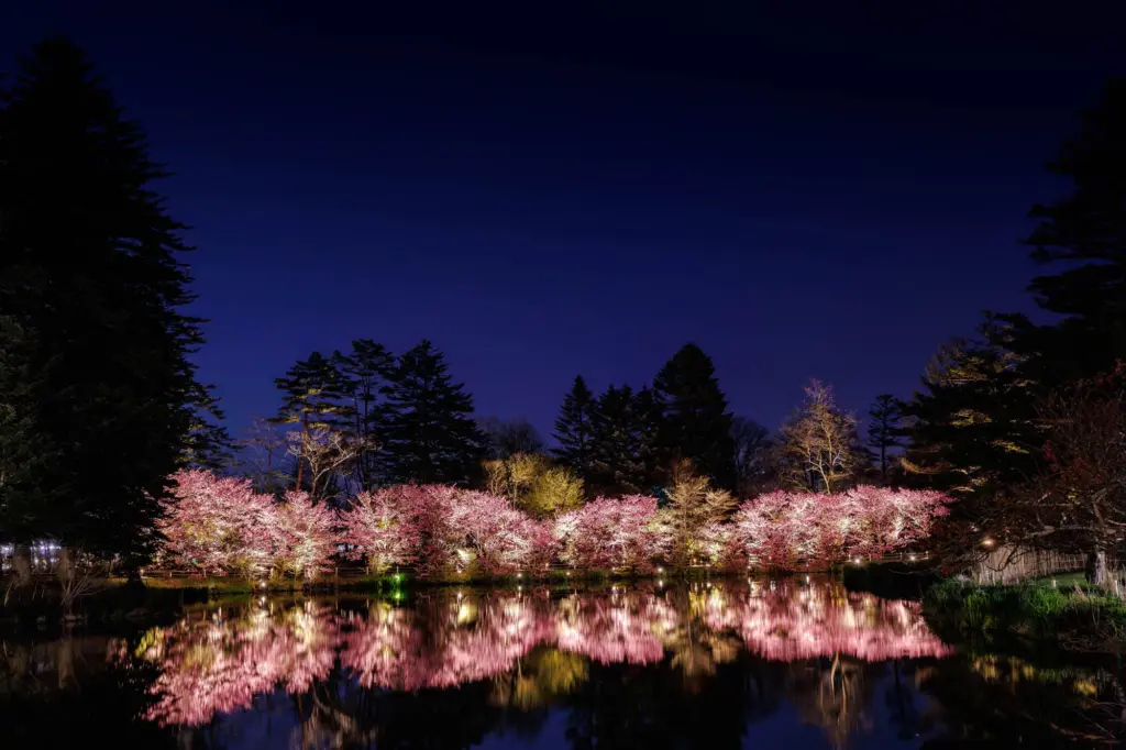 桜並木のリフレクションとブルーモーメントを活かした演出