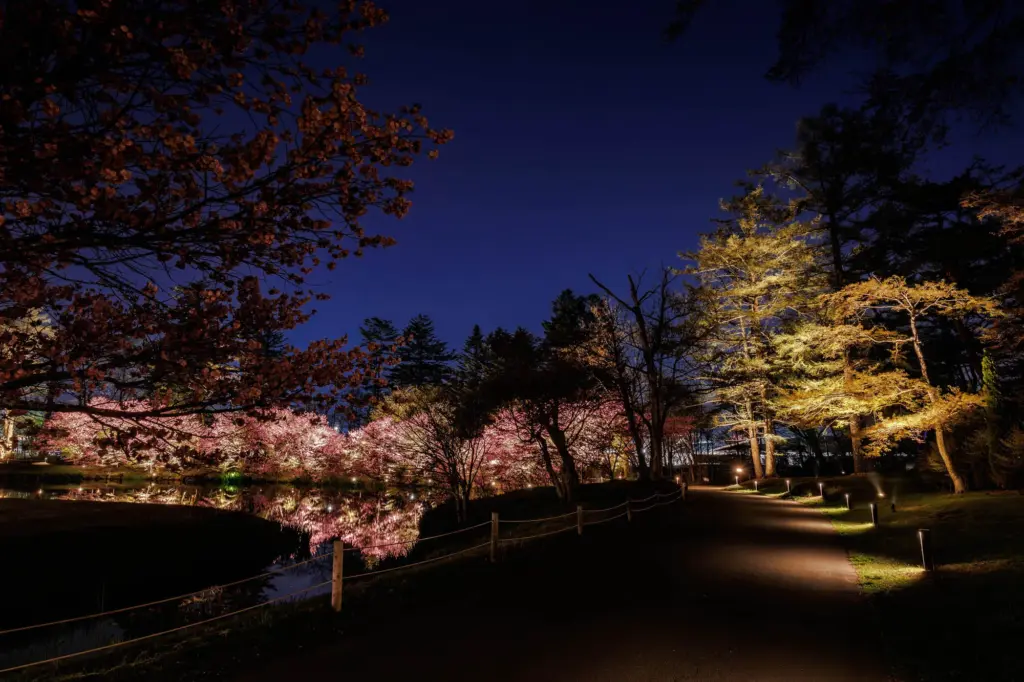 軽井沢プリンスホテルの散策路の様子