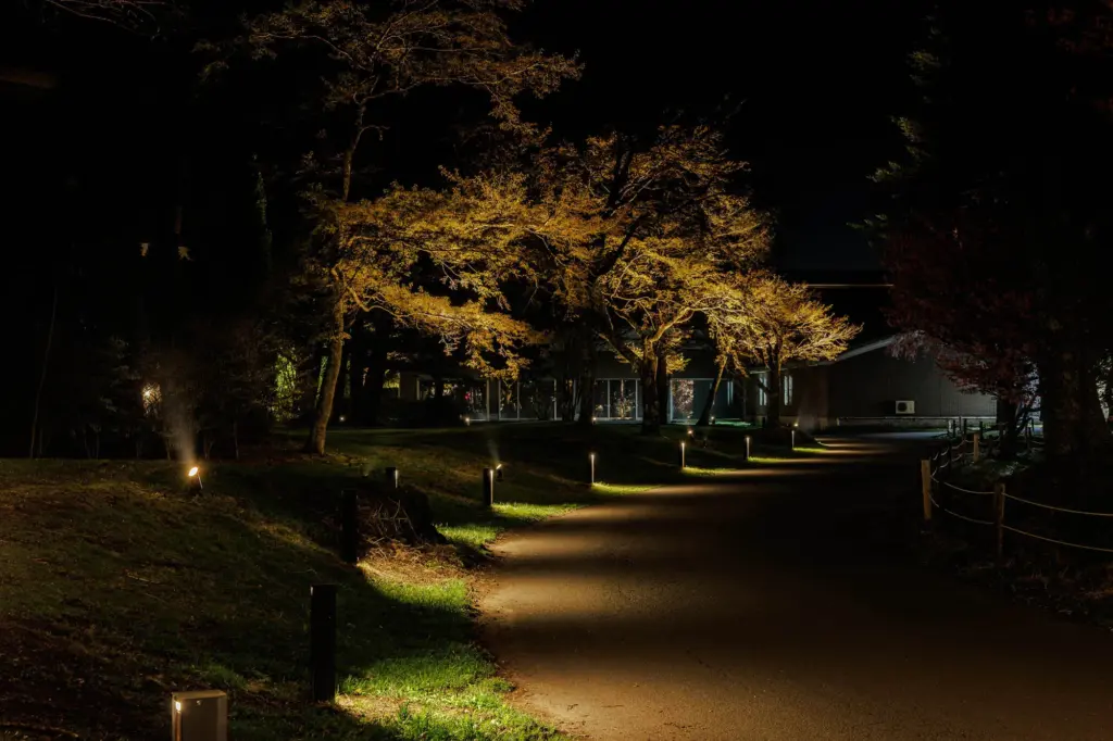 ライトアップされた散策路の様子②