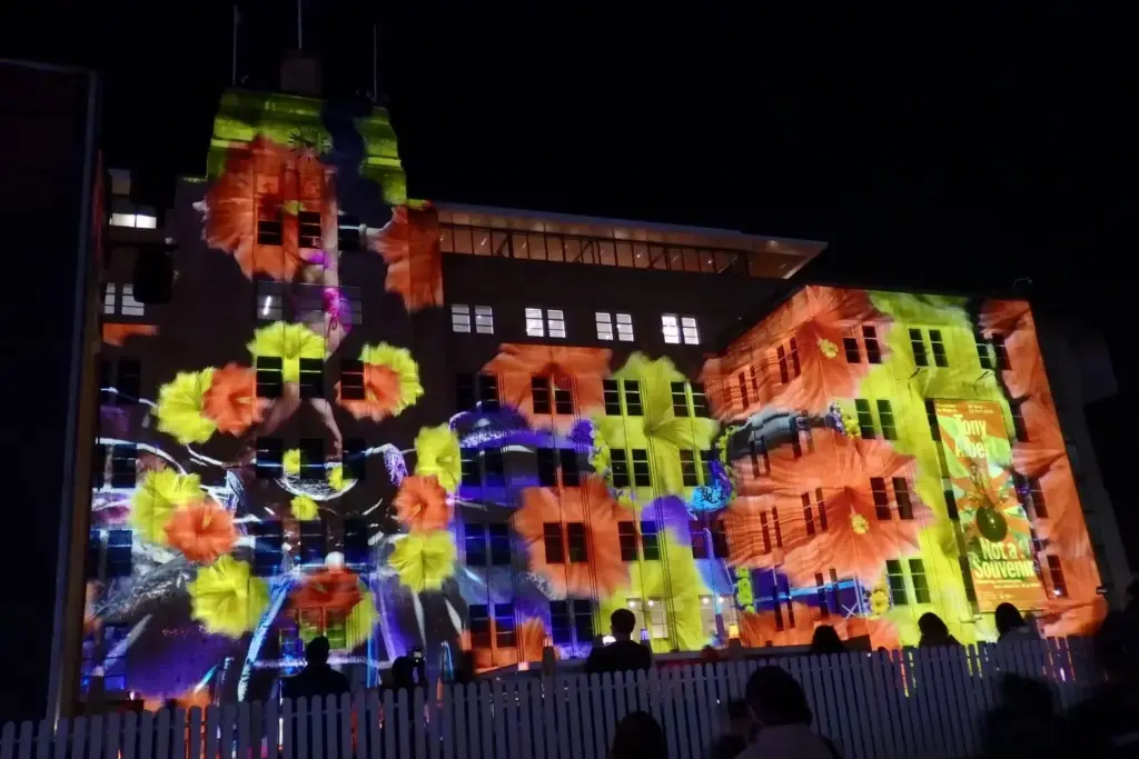 Vivid SydneyのLight作品の一部①