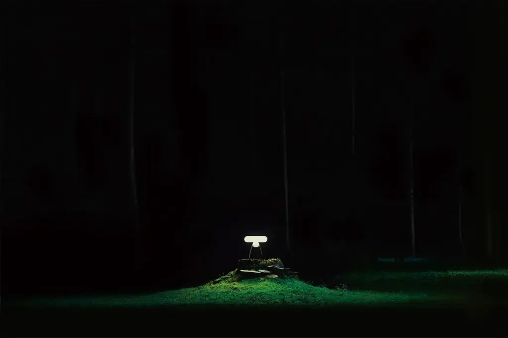 Kodama floorの商品イメージ
