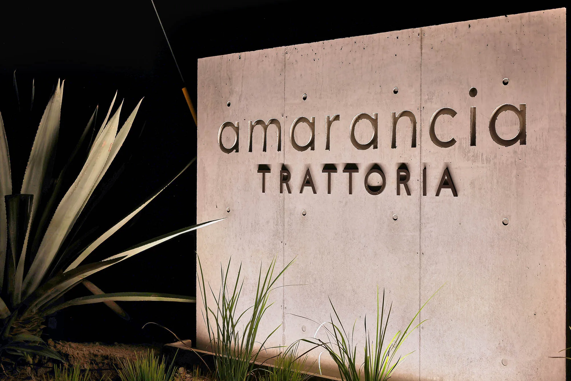 Trattoria amaranciaの実績写真