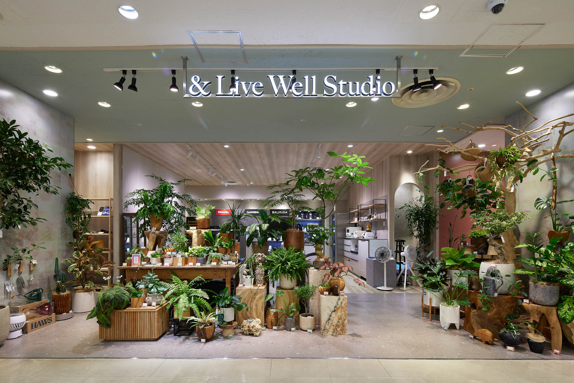 &Live Well Studioの実績写真