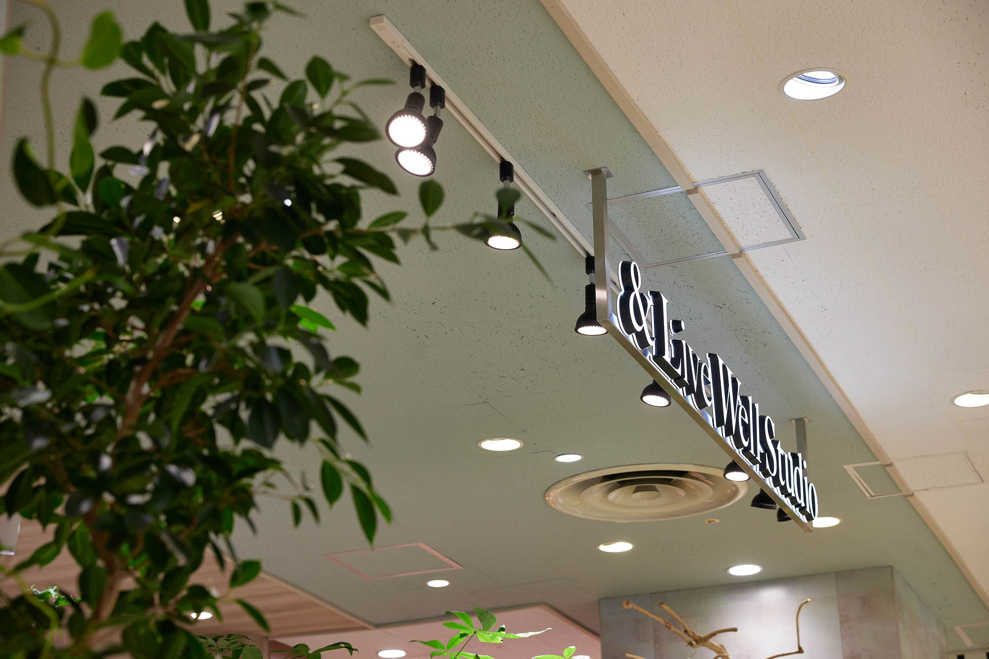 &Live Well Studioの実績写真