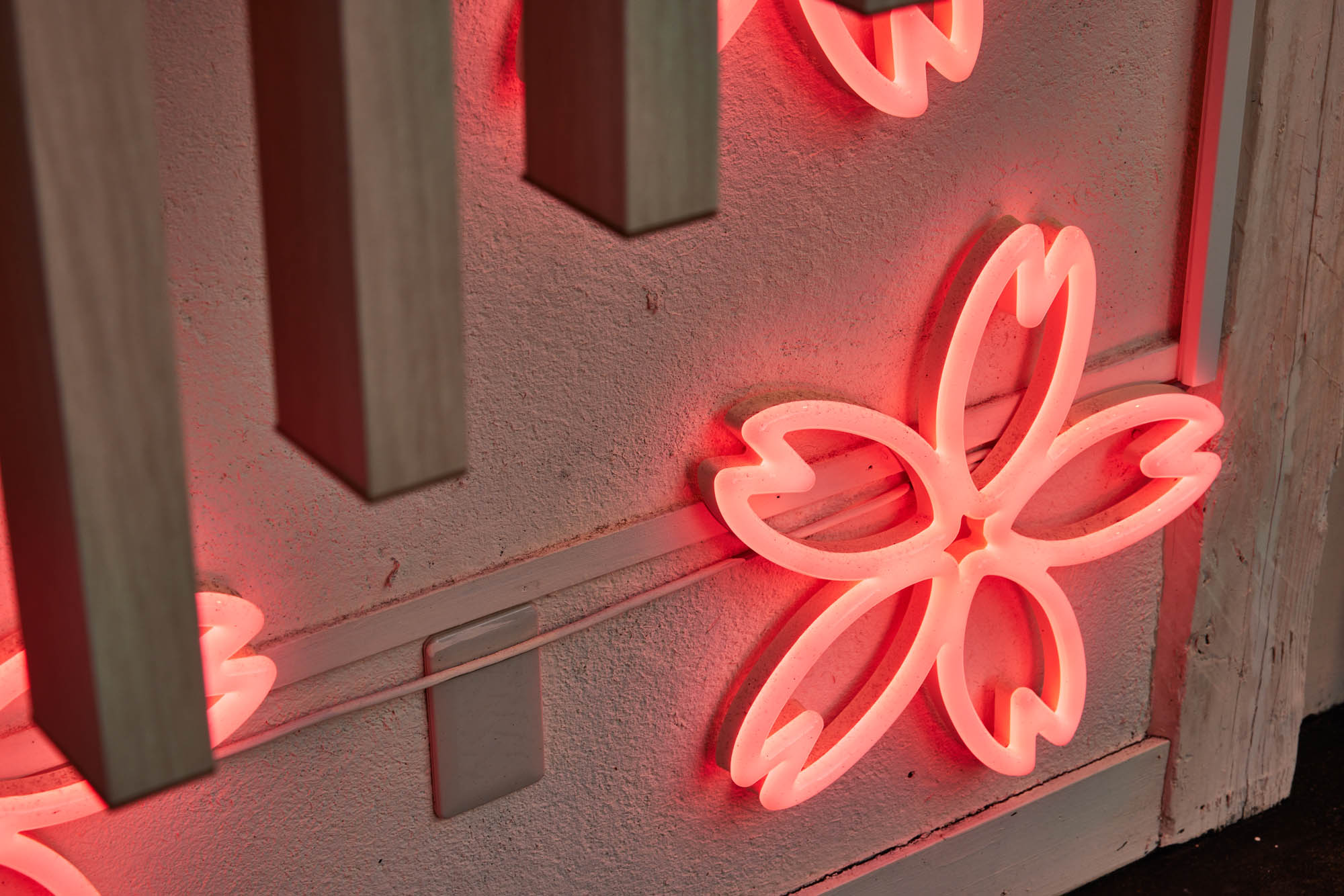 はなの舞神田西口店の実績写真