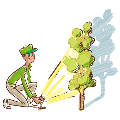 庭の成長に柔軟に対応