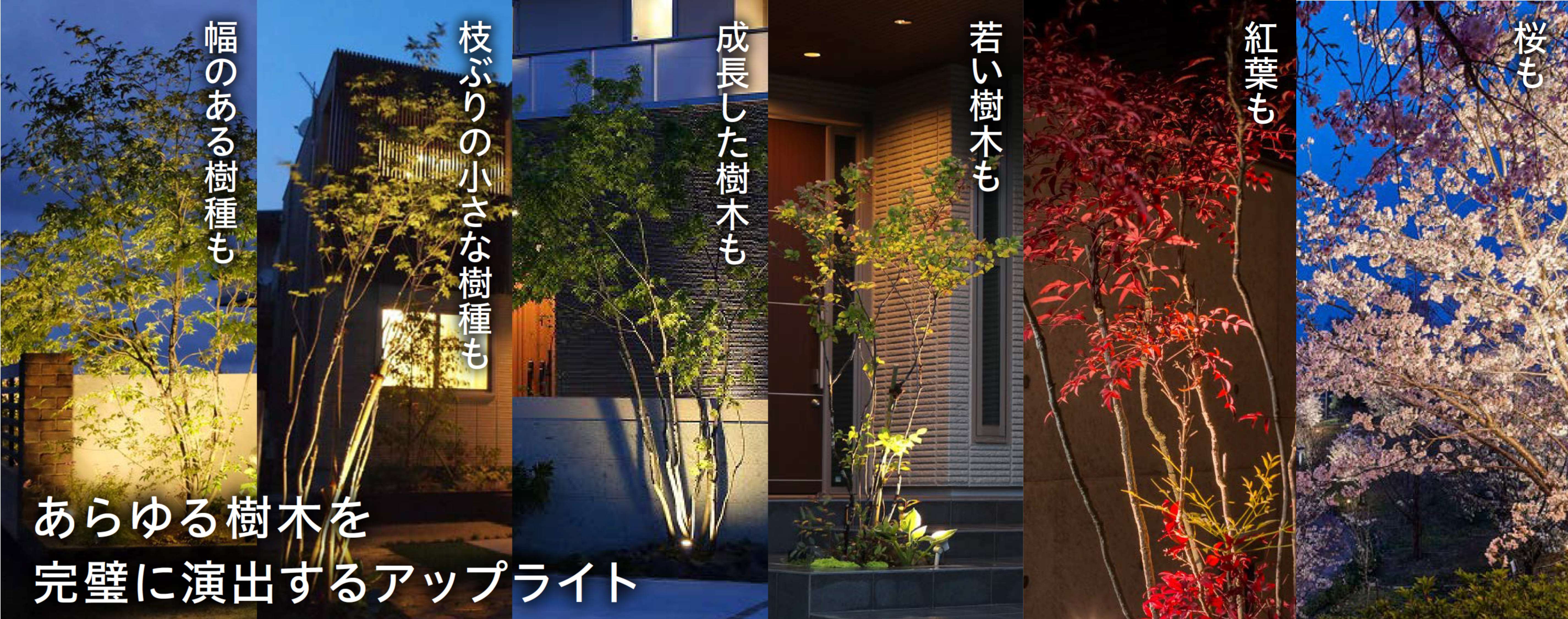 あらゆる樹木を完璧に演出するライトアップ