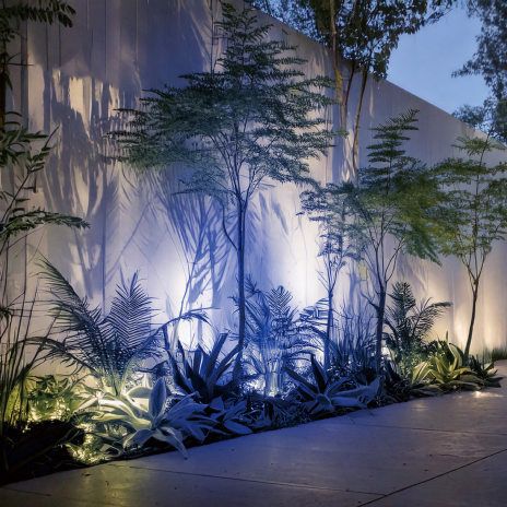 DIA-30 カラーフィルター付スヌート コバルト