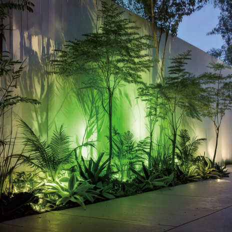 DIA-30 カラーフィルター付スヌート グリーン