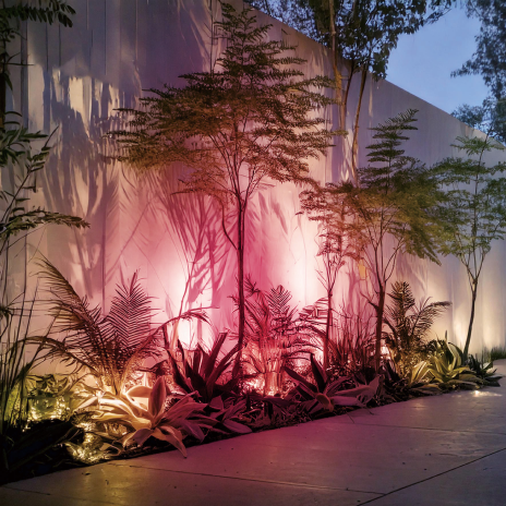 DIA-30 カラーフィルター付スヌート マゼンタ