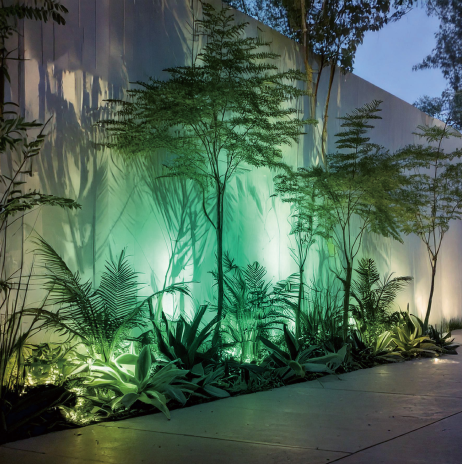 DIA-30 カラーフィルター付スヌート ミントグリーン