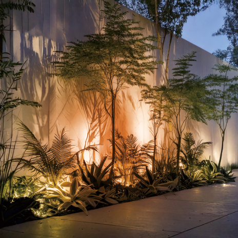 DIA-30 カラーフィルター付スヌート ピンク