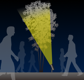 スヌート装着時の配光イメージ