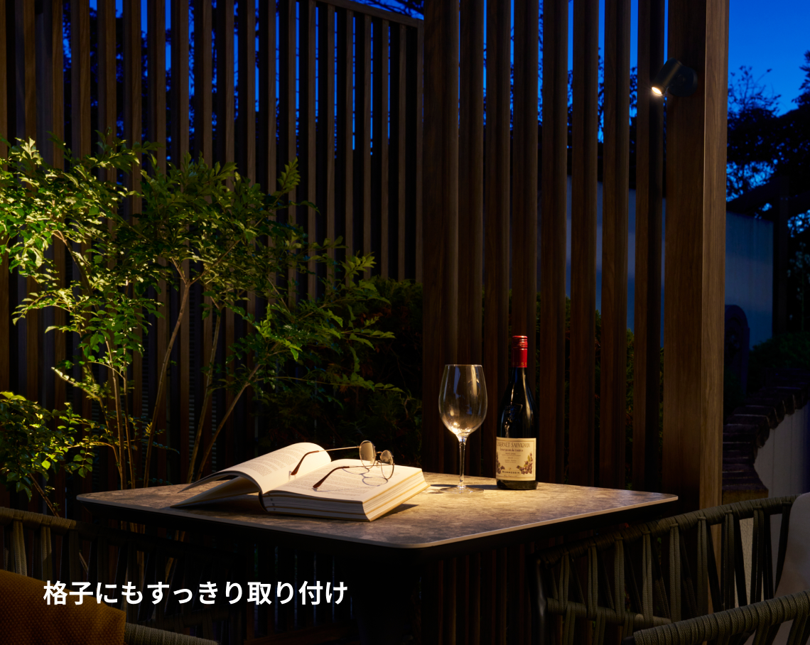 DIA-30 スポットライト フランジ