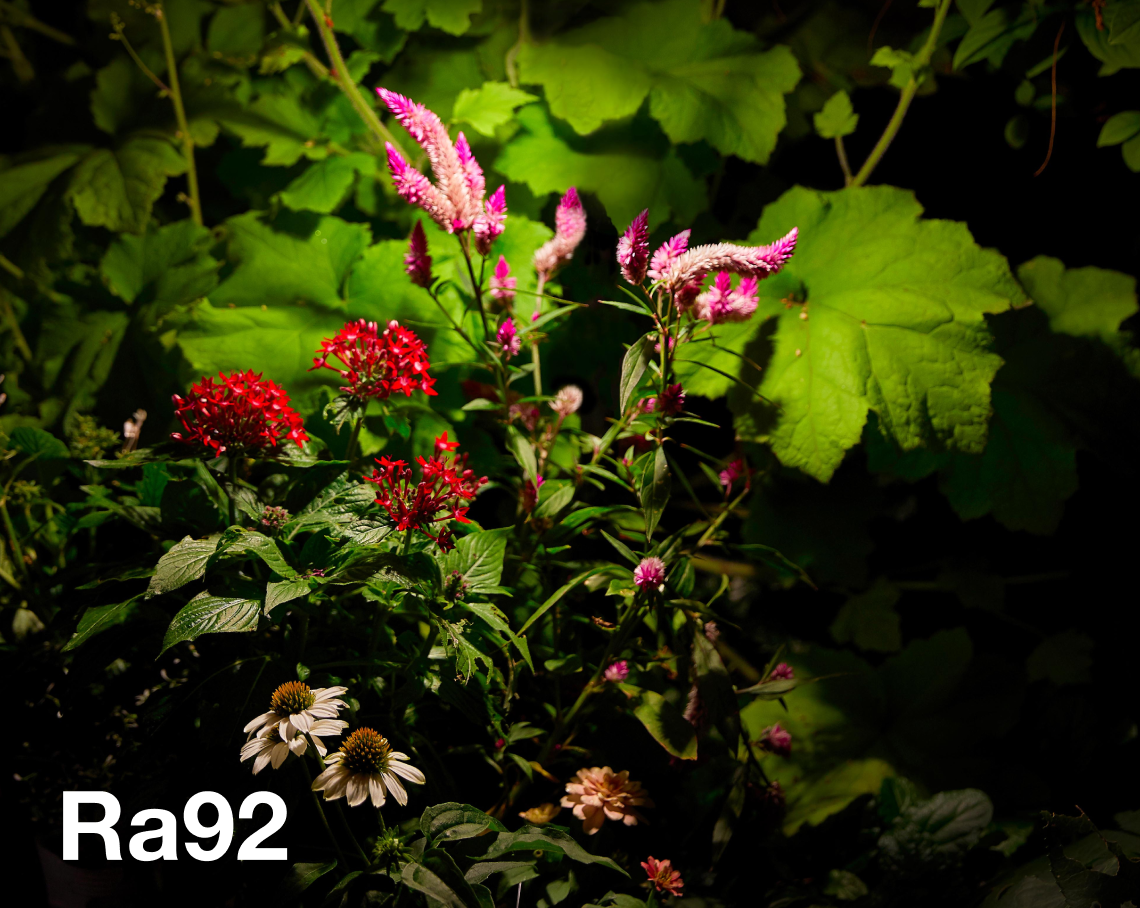 DIA-30 スポットライト フランジ