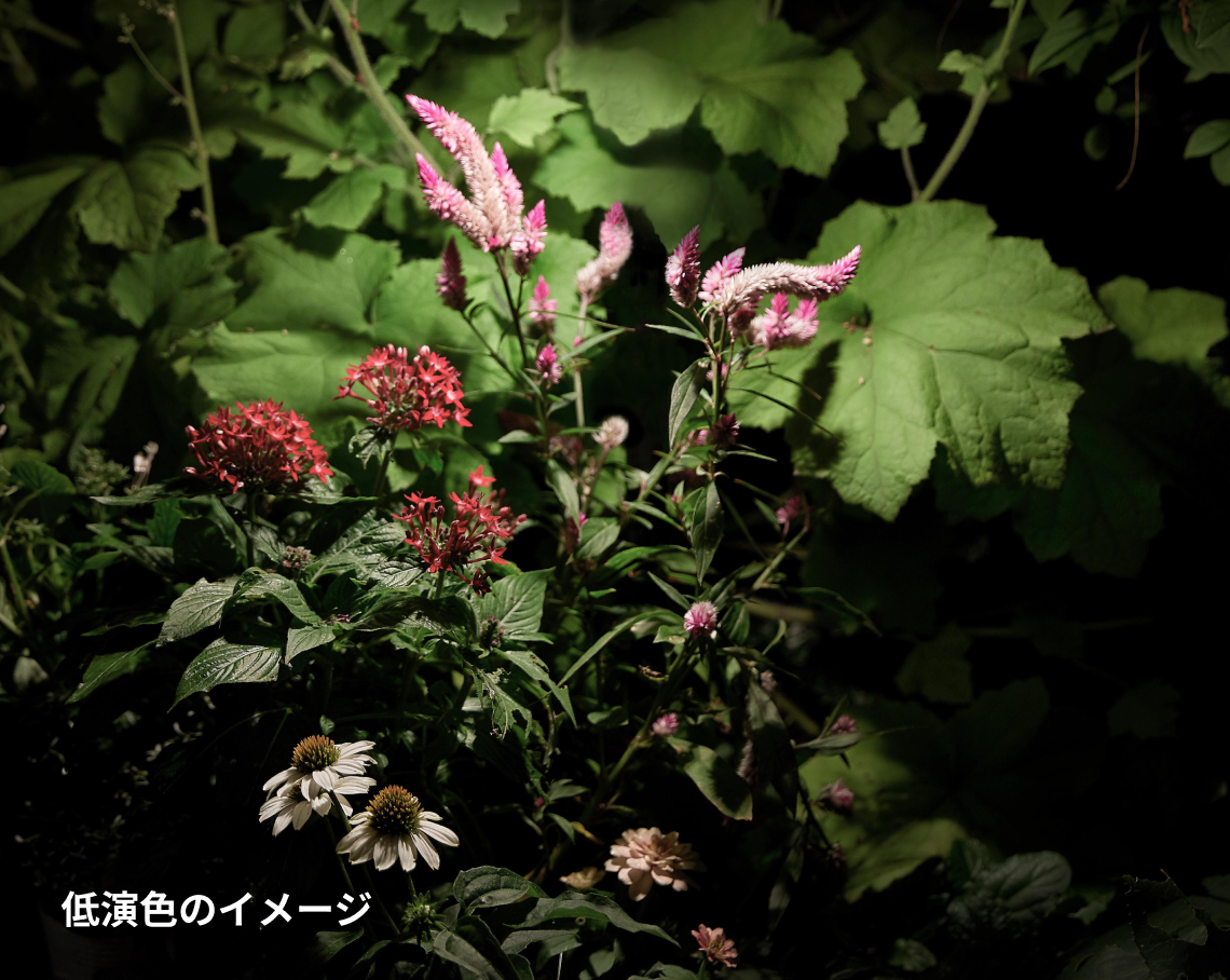 DIA-30 スポットライト フランジ