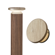 EVER ART LIGHT 新色