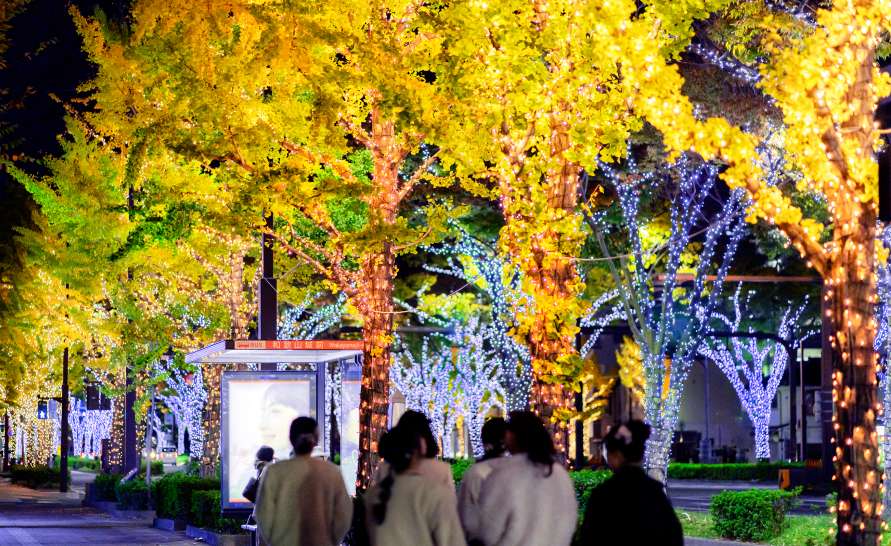 イルミネーションやLED照明を活用した夜間イベントの企画・演出