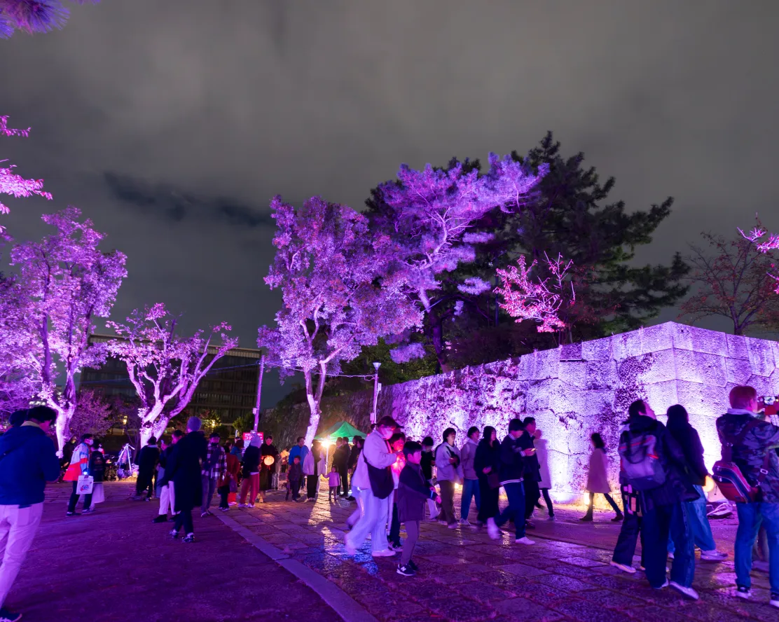 和歌山城〜光の回廊〜|夜の風格を際立たせるライトアップと誘導照明