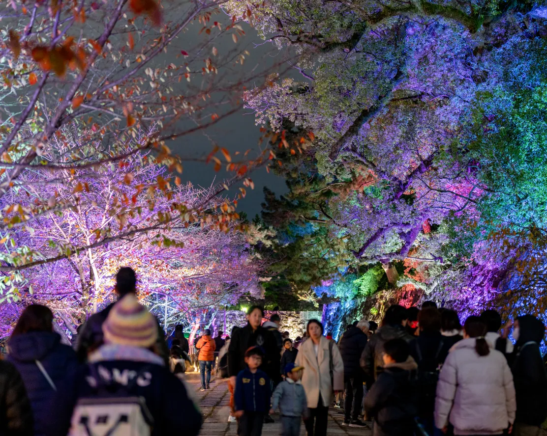 L和歌山城〜光の回廊〜|夜の風格を際立たせるライトアップと誘導照明