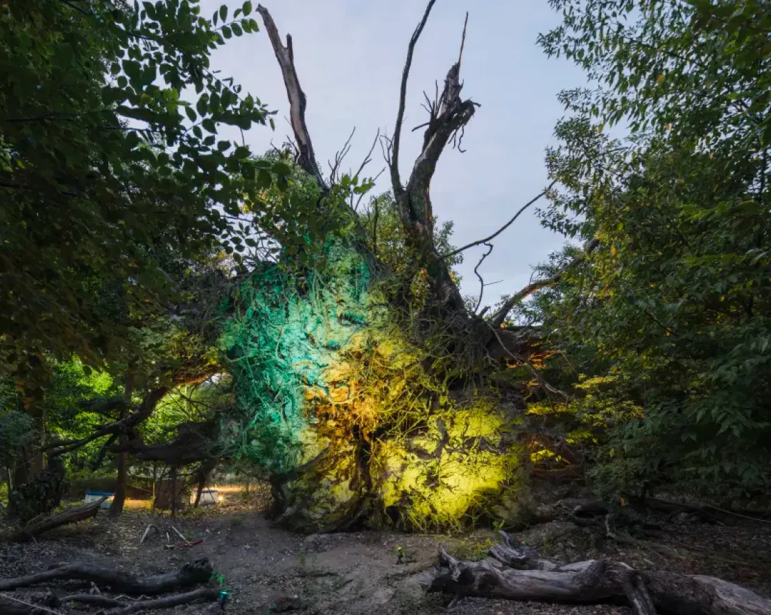 泉大津市|夜に開かれたまちづくりの実践