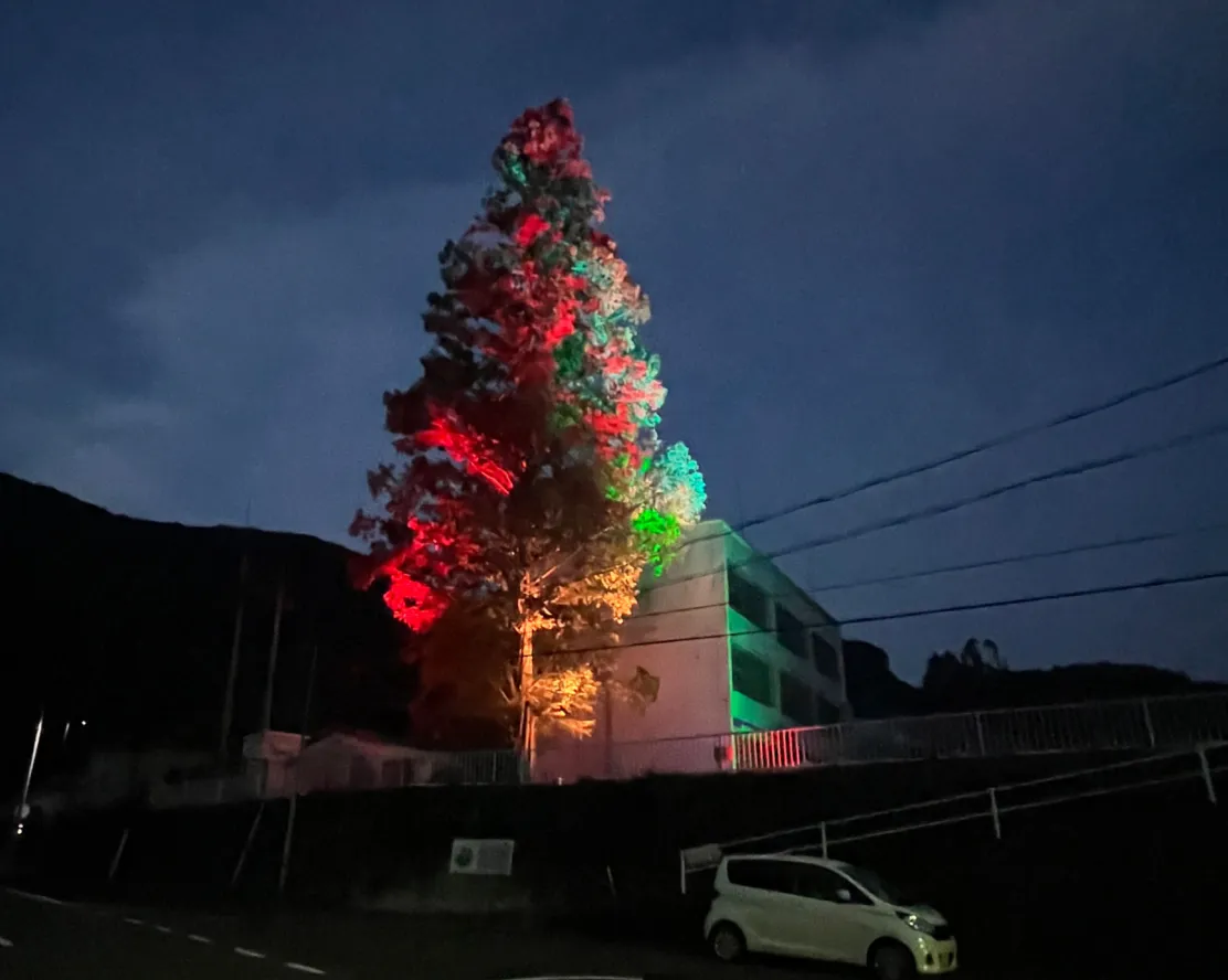 廃校の再活用|和歌山県印南町旧真妻小学校メタセコイヤライトアップ