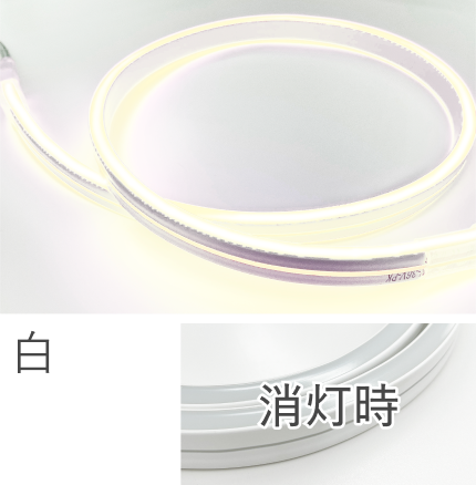 発光色 白