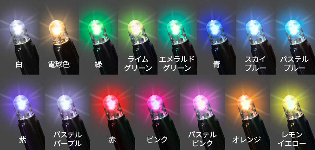 Premium LEDを独自開発