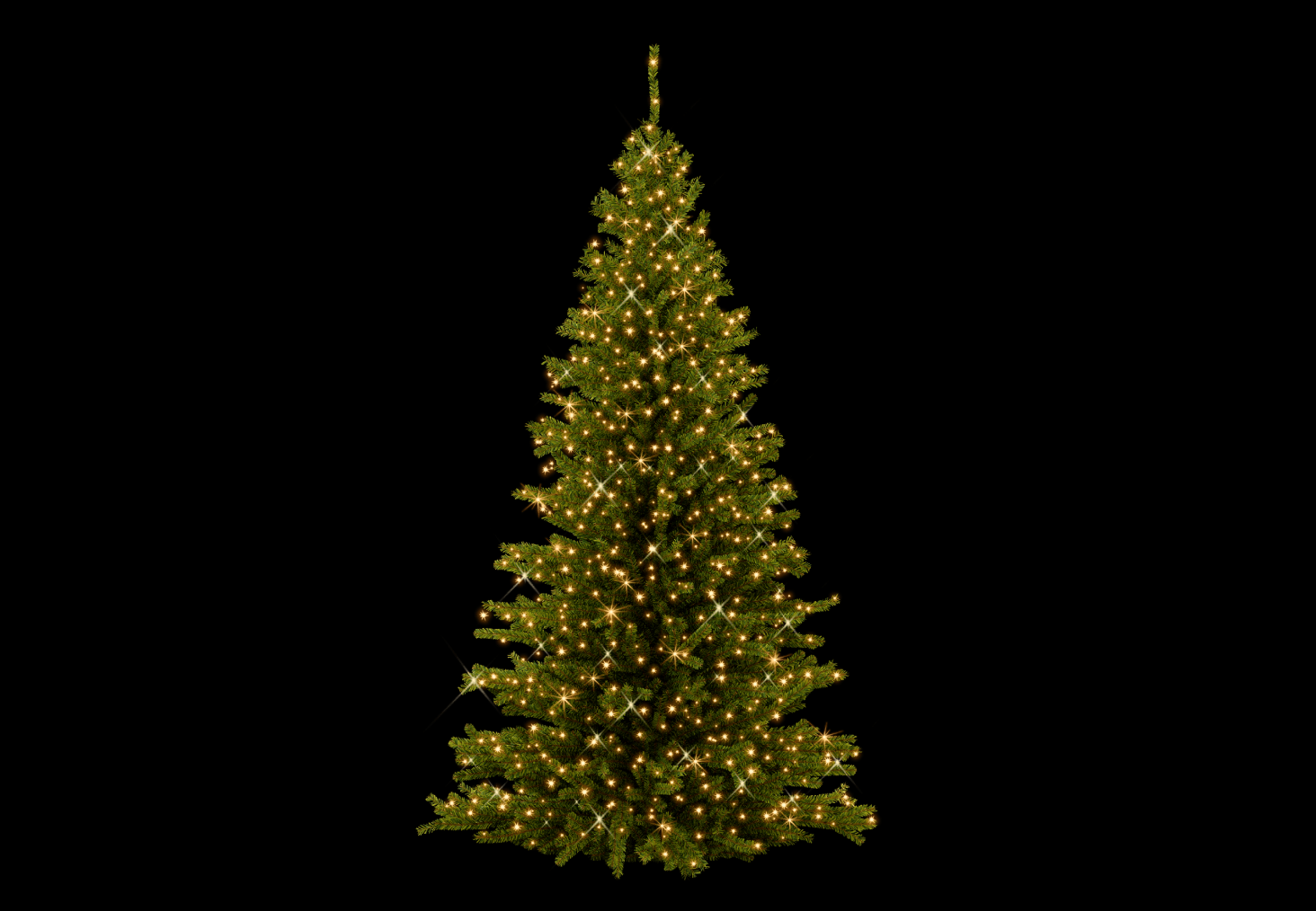 Classic Tree