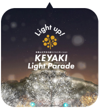 KEYAKI LIGHT PARADE