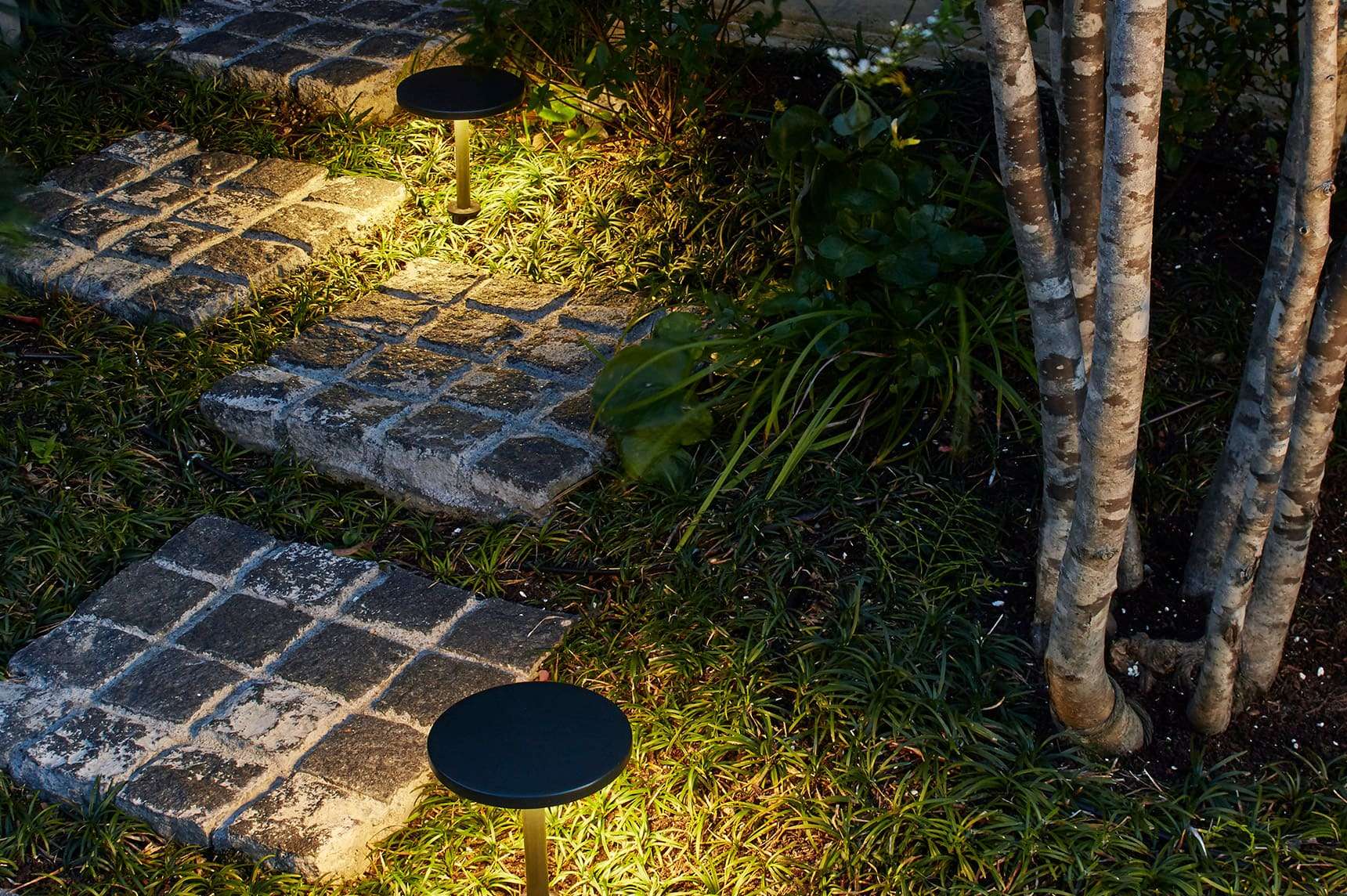 Path Stand Lights4