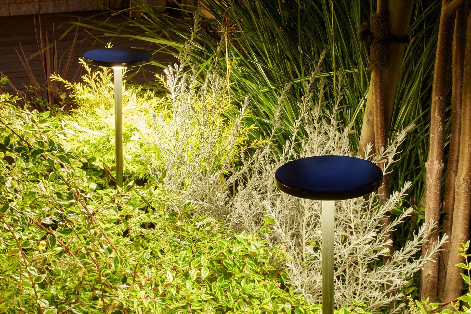 Path Lights1
