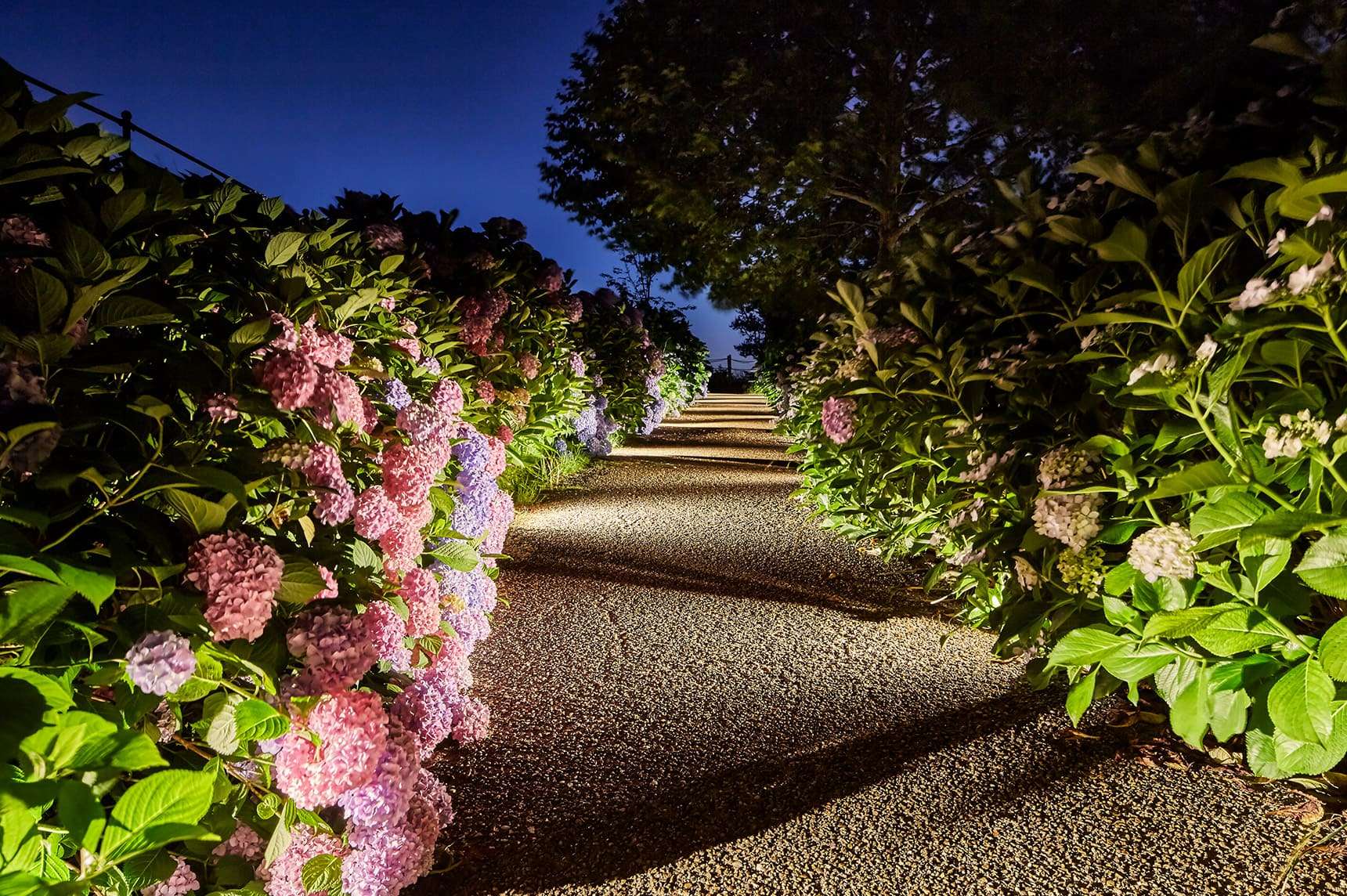 Garden Up Lights10