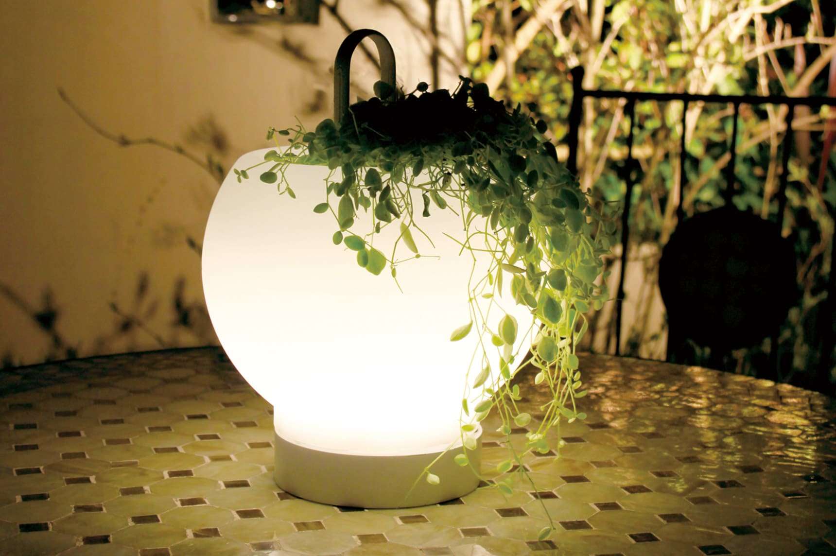 Solar Lights  3